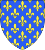 Éducation canine en Île-de-France